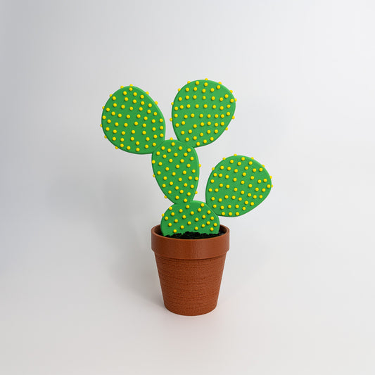 Cactus Coaster